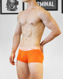 UNDERSTAND<br>貼身四角/U4723(金盞花 橘)