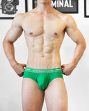 UNDERSTAND<br>低腰三角/U4713 (龜背芋 綠)