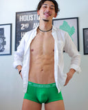 UNDERSTAND<br>貼身四角/U4723(龜背芋 綠)